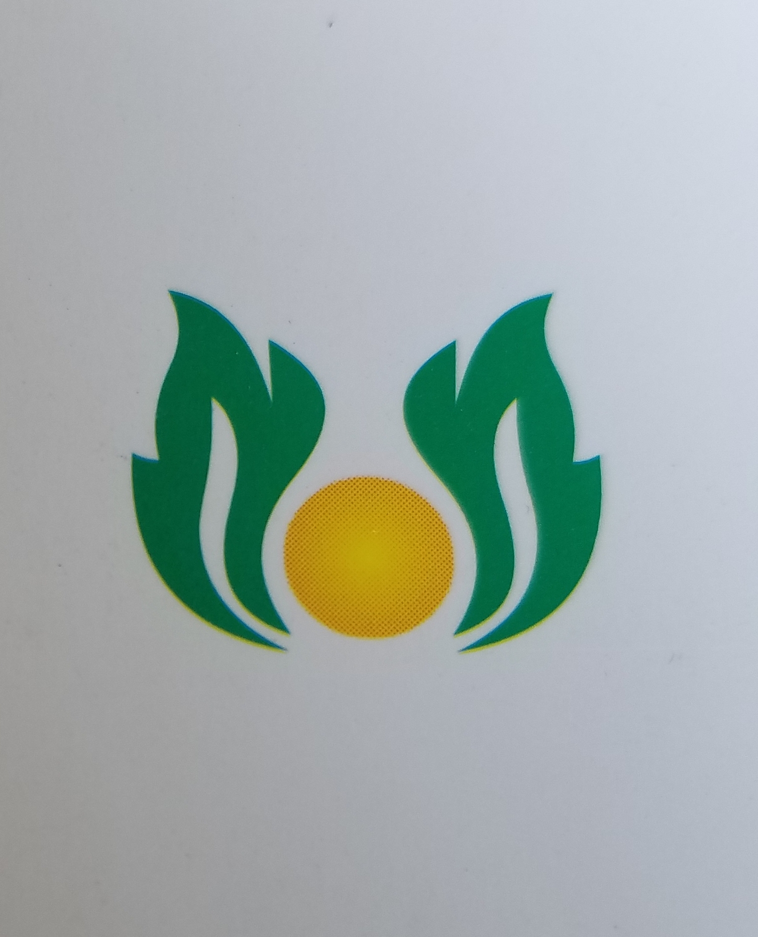 湖北民辉药业有限公司logo