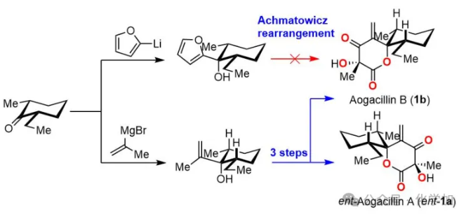 1765430734863161.png image.png